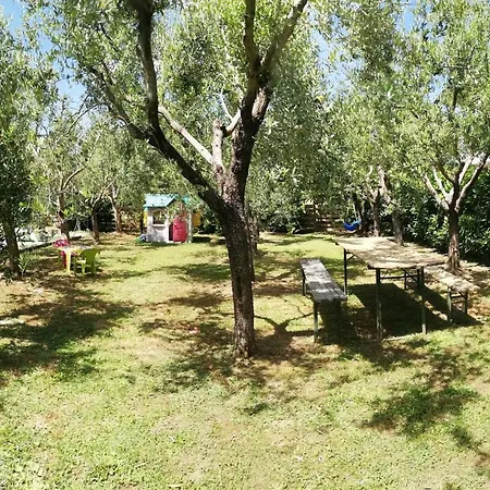Quiet House * Pescia